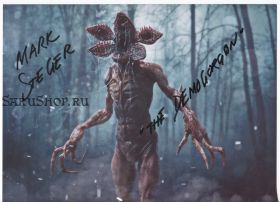 Автограф: Марк Стегер. Очень странные дела / Stranger Things