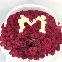 Корзина из 151 розы с буквой