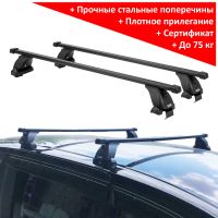Багажник на крышу Mitsubishi Delica D:5 (минивен, 2007-...), Lux, прямоугольные стальные дуги