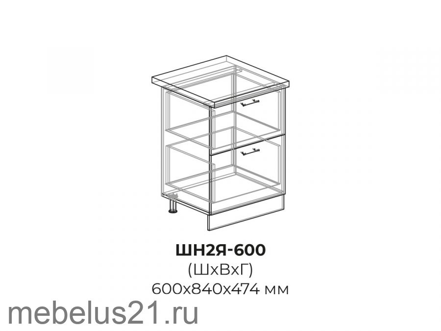 Модуль с 2 ящиками ШН2Я600
