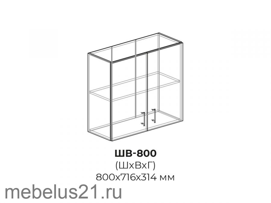 Модуль ШВ800