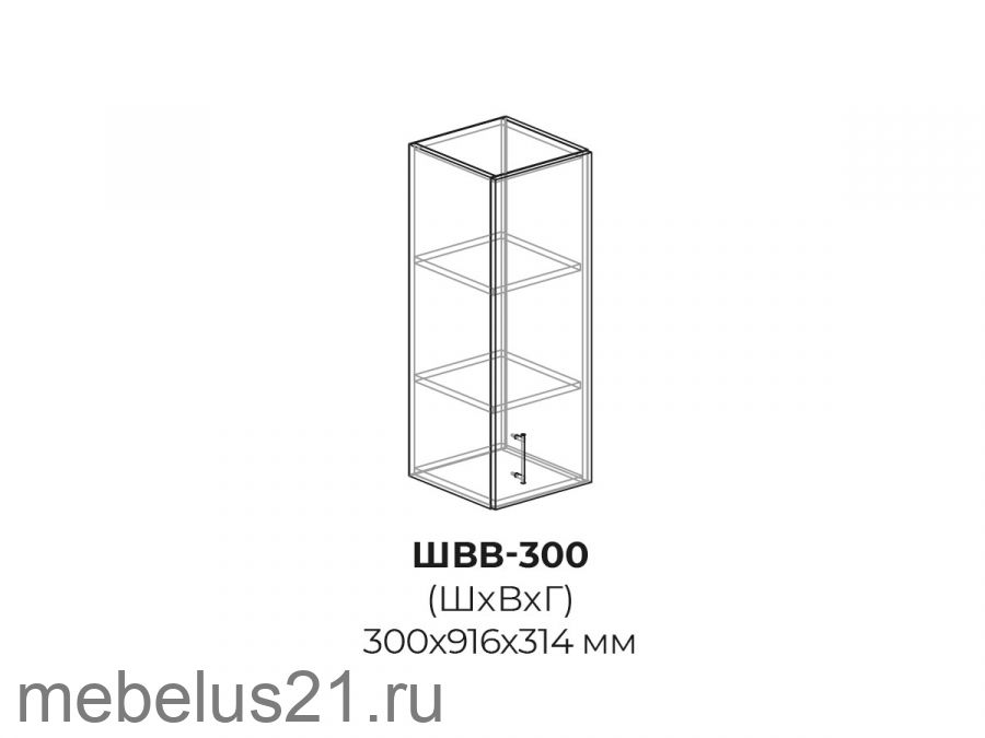 Модуль ШВВ300