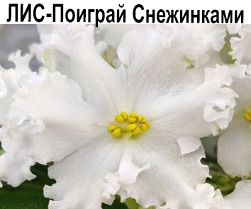 ЛИС-Поиграй Снежинками  НОВИНКА КАТАЛОГА