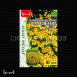 Barhatcy-Sharovidnyj-Kust-Zolotoj-tonkolistnye-100-sht-Red-Sem
