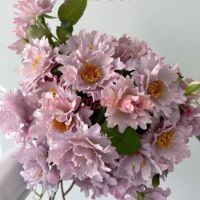 Кутюр Роз Тилия (Couture Rose Tilia) ЗКС