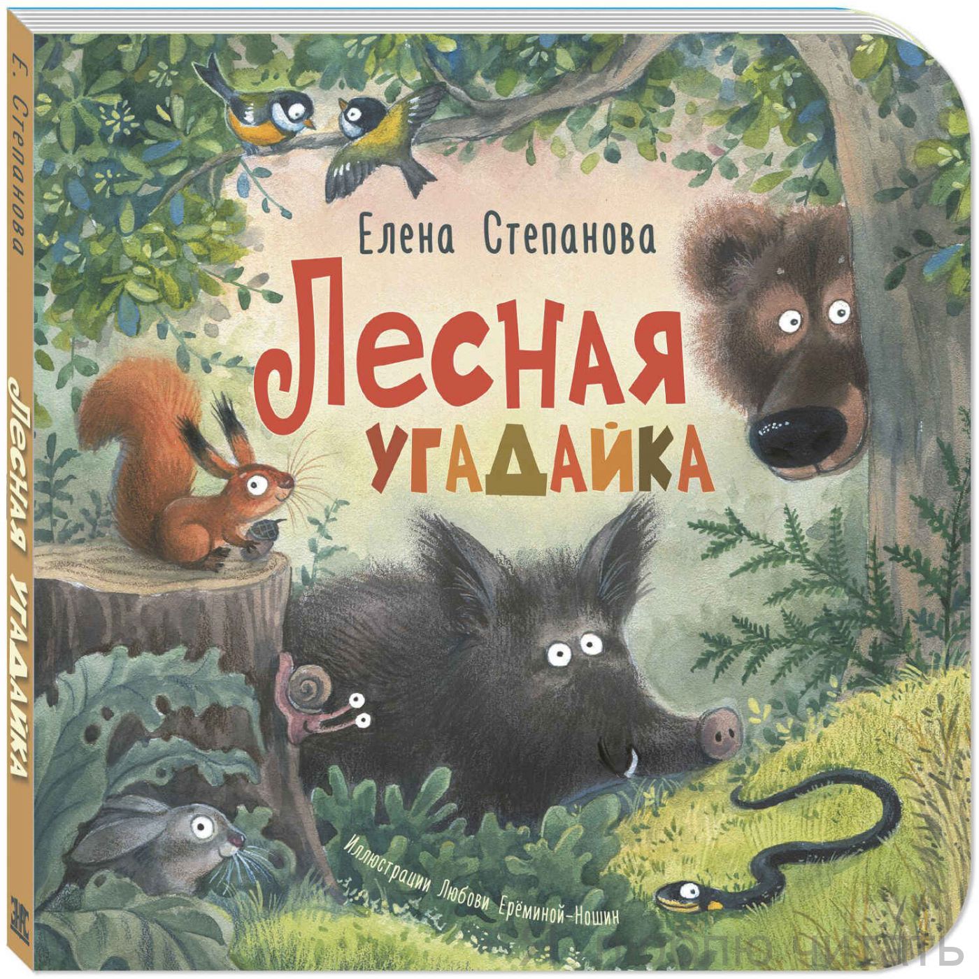 Лесная угадайка