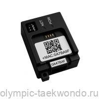 Трансмиттер (передатчик) электронный WAYCHAMP SEMI-PROFESSIONAL
