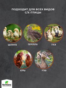 Ниппельная система поения готовая в сборе с канистрой 5 л для поения поилка в брудер