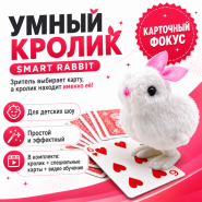 УМНЫЙ КРОЛИК Smart Rabbit (КАРТОЧНЫЙ ФОКУС)