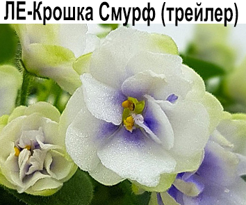 ЛЕ-Крошка Смурф (Лебецкая)