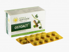 Ostoact (Остоакт) - комплексная аюрведическая формула при остеопорозе, 100 т