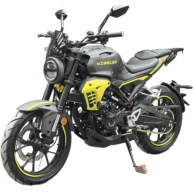Мотоцикл Regulmoto Nibbler