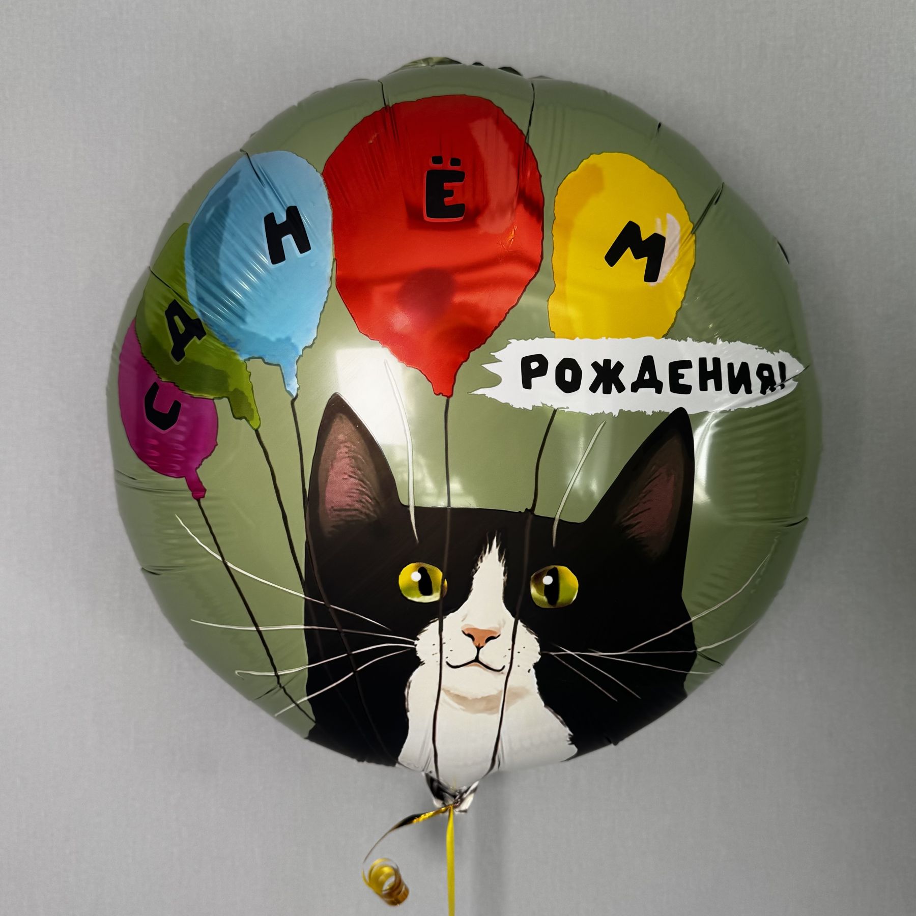 Шар с котиком