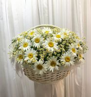 Большая корзина с ромашками