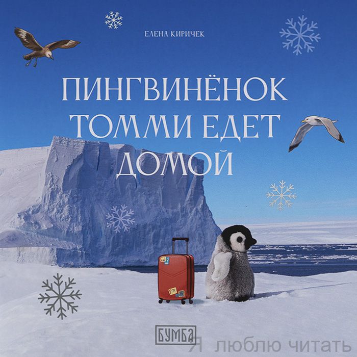 Пингвинёнок Томми едет домой.