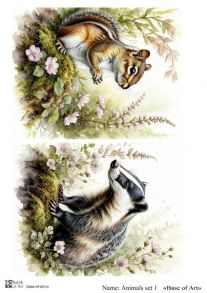 Animals set 1
