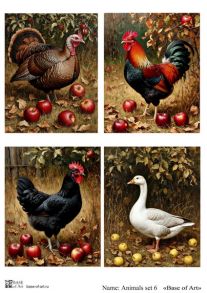 Animals set 6