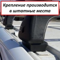 Багажник на крышу Peugeot Traveller, минивен, 2016-..., ЕД, стальные прямоугольные дуги