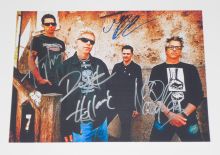 Автографы: The Offspring. Декстер Холланд, Noodles, Грег Крисел, Атом Уиллард