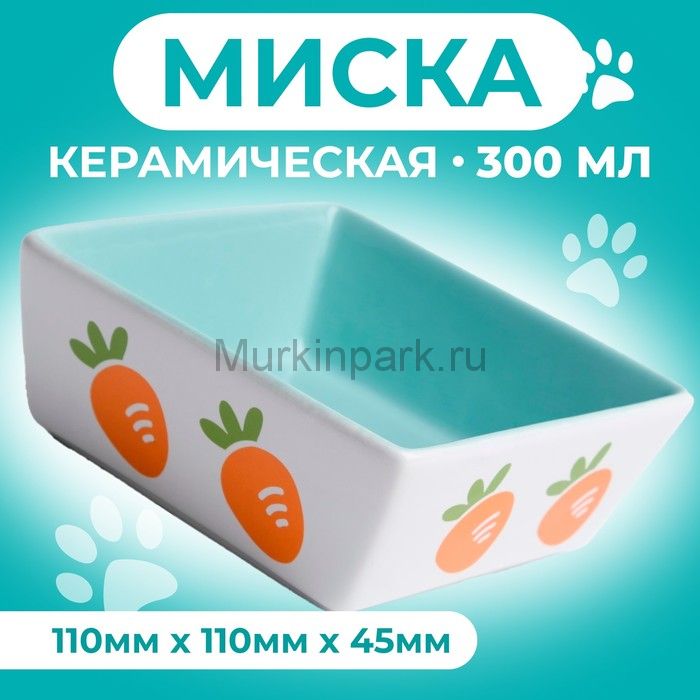 Миска керамическая квадратная "Морковки" 300 мл, 11 x 4,5 cм, зелёная