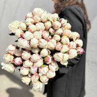 Пионы белые с розовой серединкой в ленте