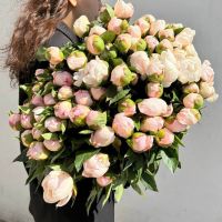 Пионы светло-розовые в ленте