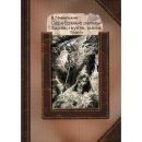 Серебряные рельсы. Здравствуйте, мама