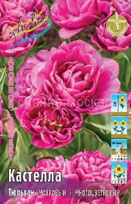 Тюльпан	Кастелла (Tulipa Castella), МАХРОВЫЙ МНОГОЦВЕТКОВЫЙ, 11/12, 1 шт