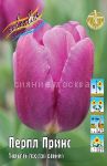 Tyulpan-Perpl-Prins-Tulipa-Purple-Prince-PROSTOJ-RANNIJ-11-12-1-sht