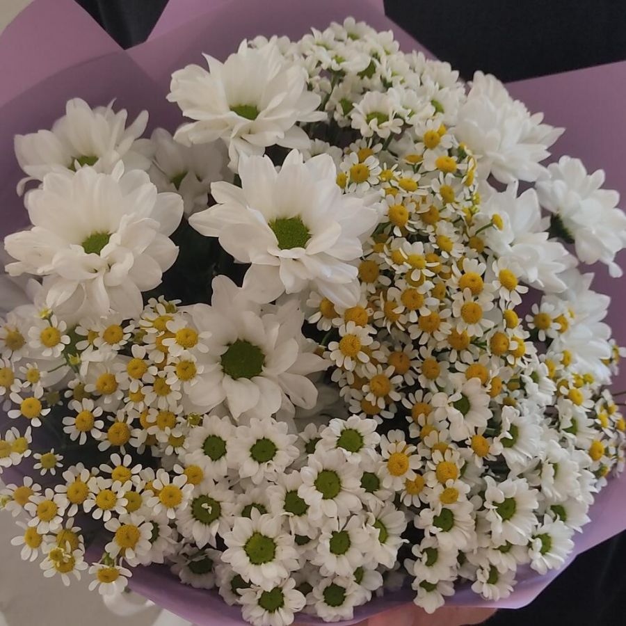 Микс из ромашек размер S