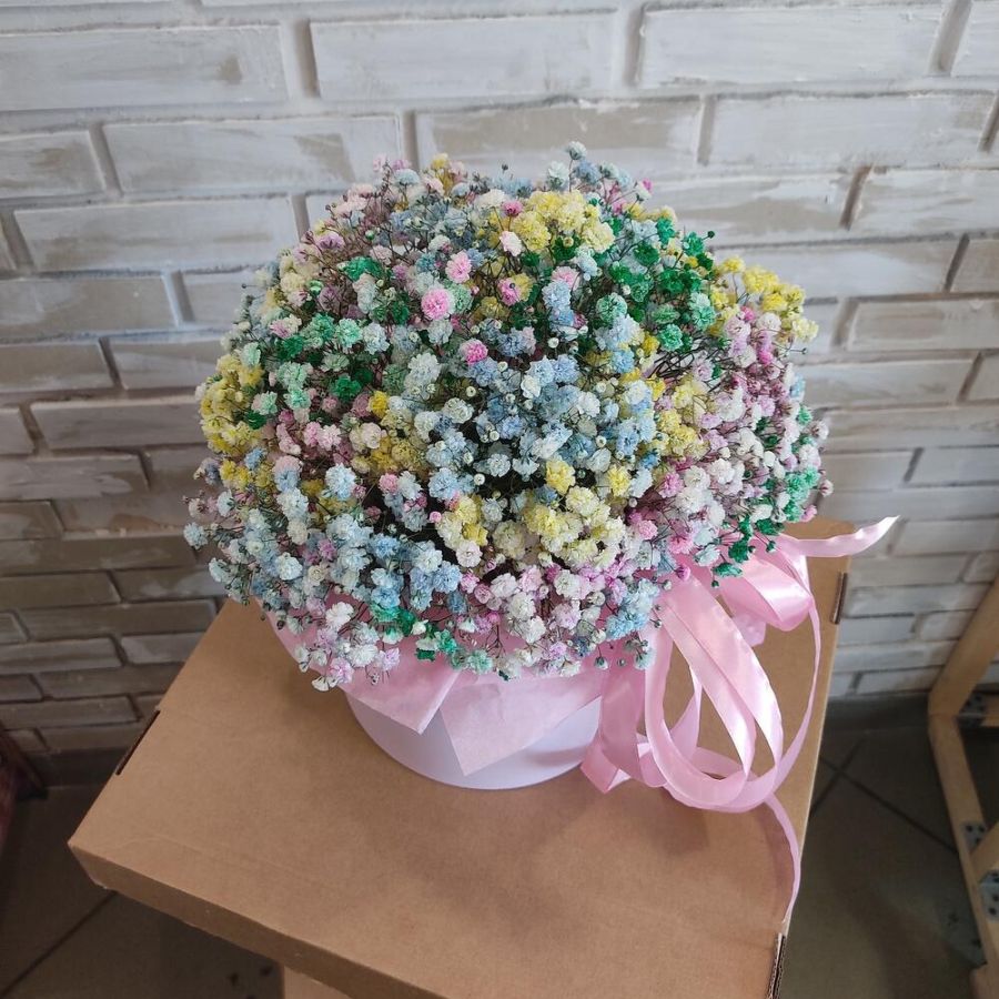 Радужная гипсофила в коробке L