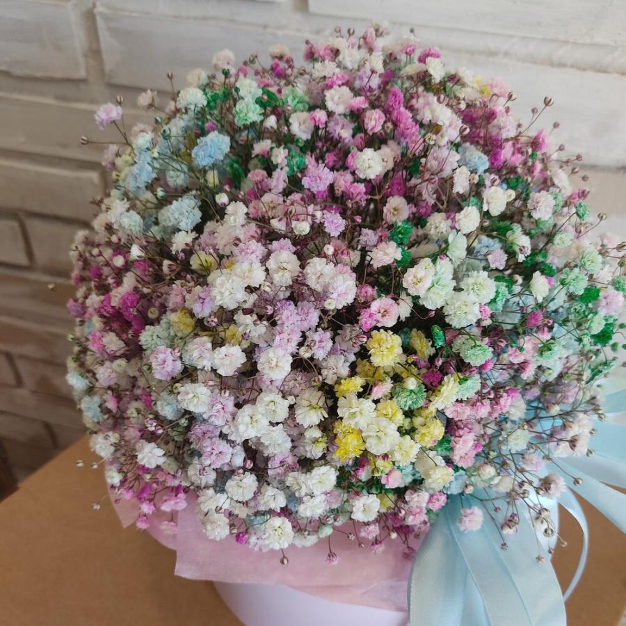 Радужная гипсофила в коробке M