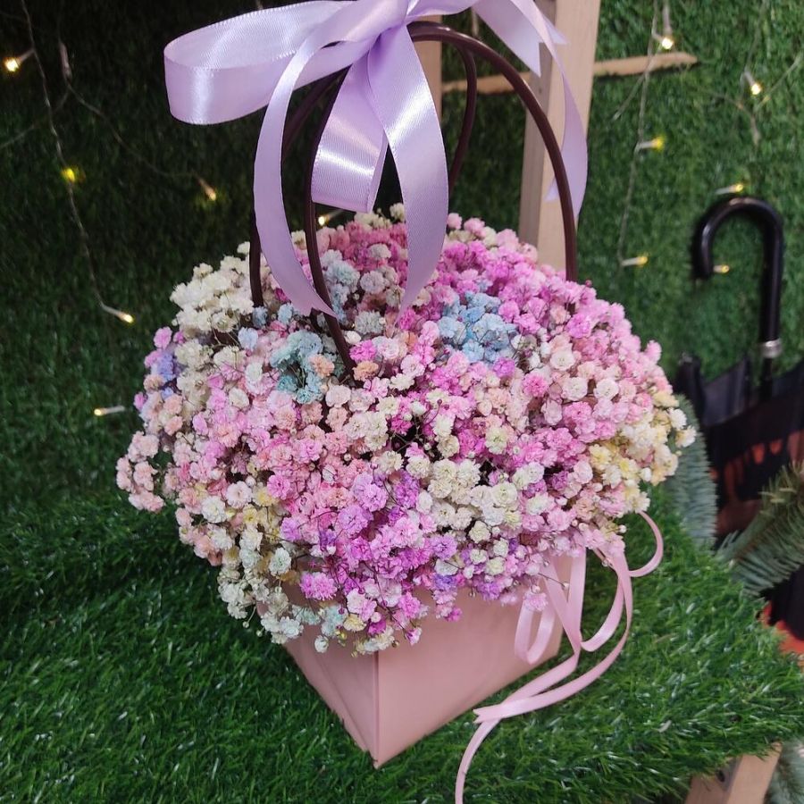 Гипсофила радужная в сумочке