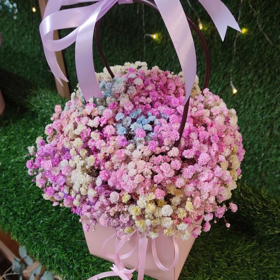 Гипсофила радужная в сумочке
