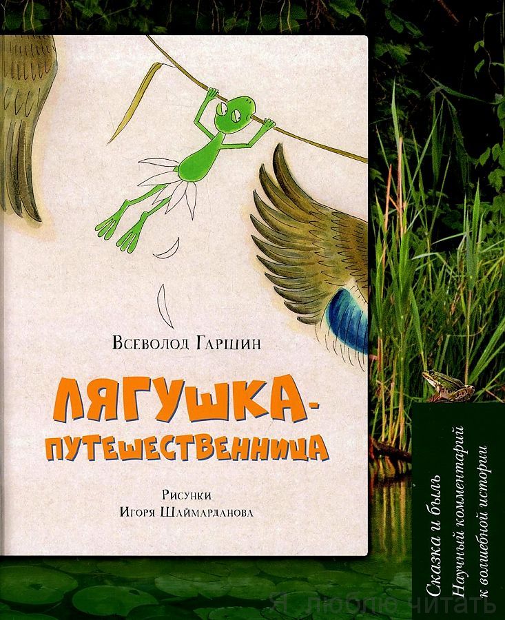 Лягушка-путешественница. Сказка и быль