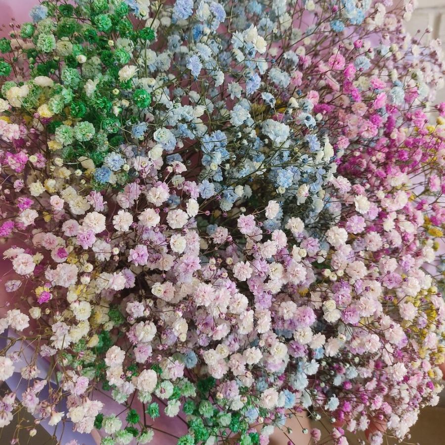 Букет из гипсофилы размер М