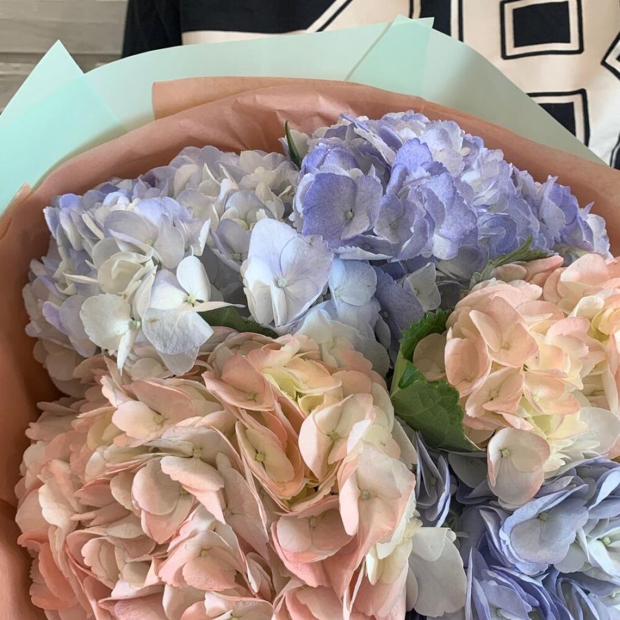 Букет гортензии 5