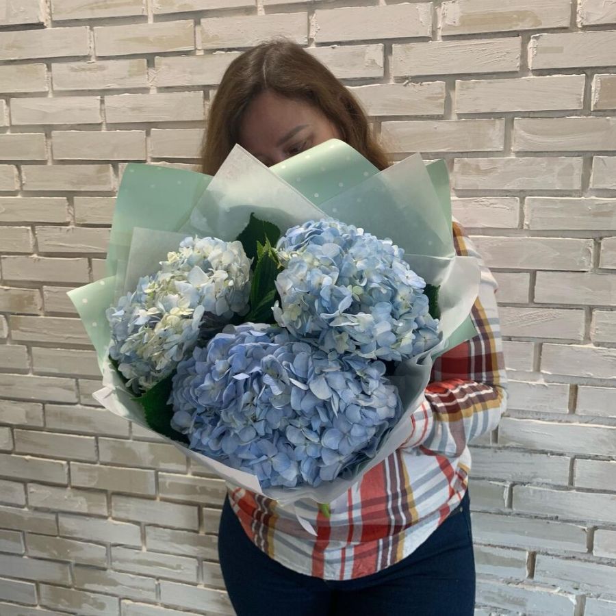 Букет голубых гортензий