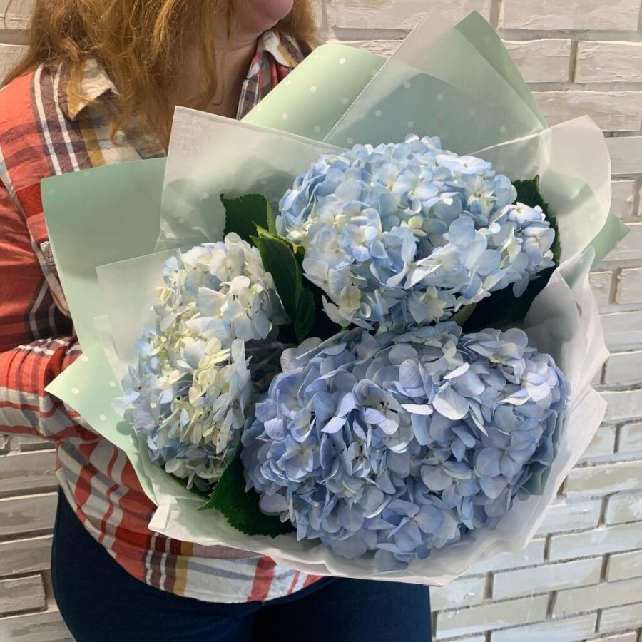 Букет голубых гортензий