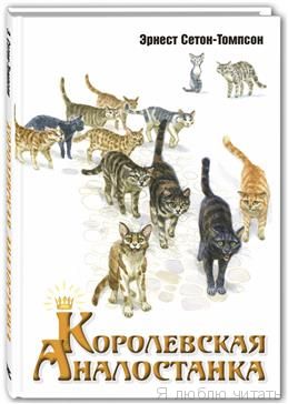 Королевская Аноластанка