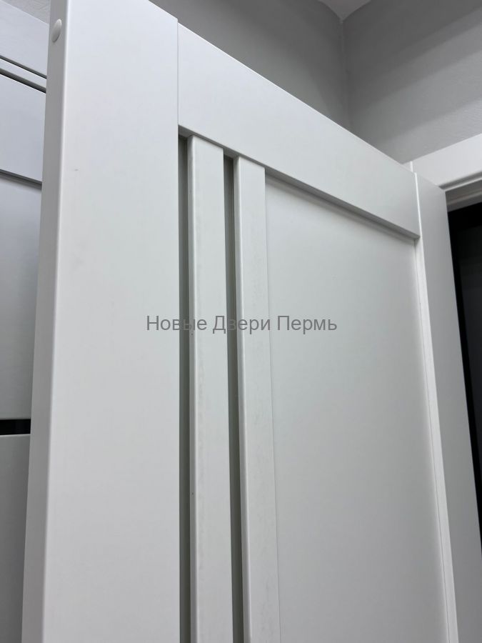 Модель 275 Эмалит Белый/ Черный лакобель Межкомнатная дверь