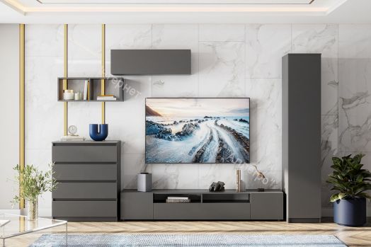 Гостиная Денвер Графит серый