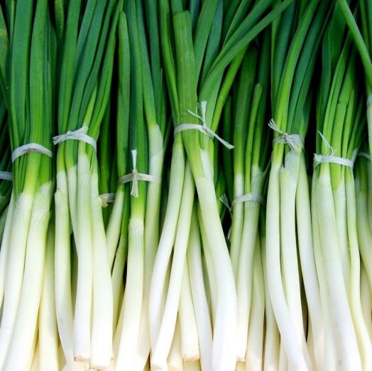 Лук на перо Филадельфия, 5г семян