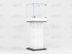 Витрина Б 11