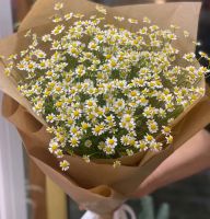 Ромашка Матрикария в крафте
