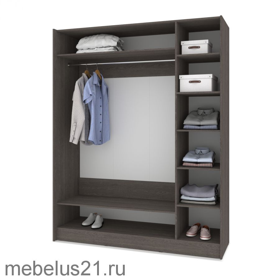 Шкаф купе Браун со вставкой 1700