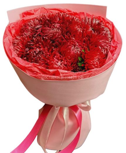 Красные астры