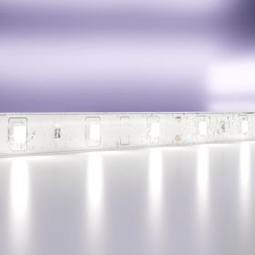 Светодиодная Лента 4,8Вт/м 12V IP65 6000K Maytoni 10107.