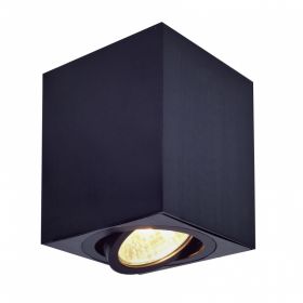 Светильник Накладной Поворотный Citilux Дюрен CL538213 Чёрный / Ситилюкс.