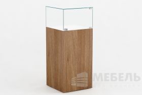 Витрина музейная 6